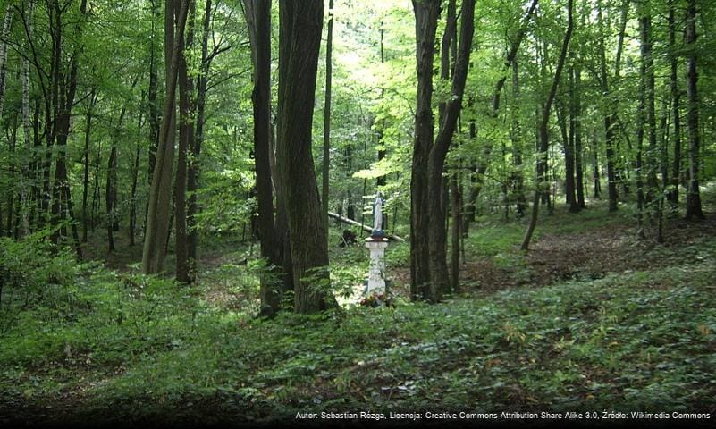 Nadle nictwo Miech w Miechowiacy Nadle nictwo Miech w Miechowiacy